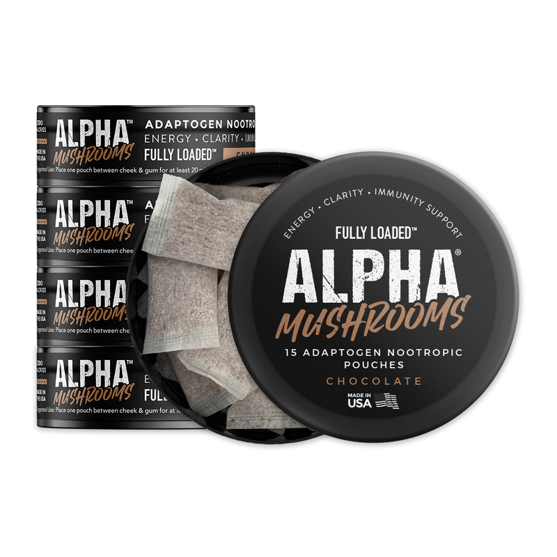 Load image into Gallery viewer, ALPHA Mushrooms Adaptogen Pouches - Chocolate